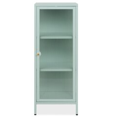 Vitriini Aatrium Milton, 40x40x101 cm, vihreä hinta ja tiedot | Vitriinit | hobbyhall.fi