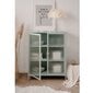 Vitriini Aatrium Milton, 80x40x101 cm, vihreä hinta ja tiedot | Vitriinit | hobbyhall.fi