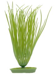 Muovikasvi AquaScaper 20cm Hairgras, Marina hinta ja tiedot | Akvaariokasvit ja akvaariokoristeet | hobbyhall.fi