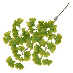 Riippuva kasvi imukupeilla Ginko 63x36x5cm vihreä hinta ja tiedot | Eksoottisten lemmikkien tarvikkeet | hobbyhall.fi