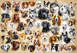 Palapeli Castorland Collage with Dogs, 1500 palaa hinta ja tiedot | Palapelit | hobbyhall.fi