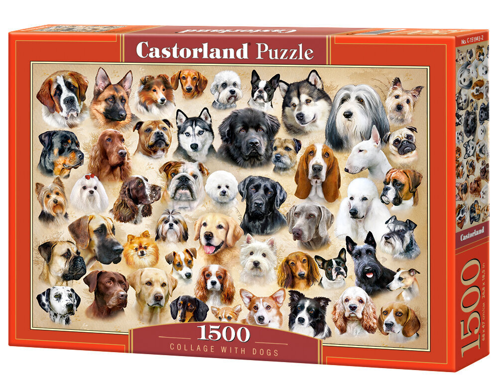 Palapeli Castorland Collage with Dogs, 1500 palaa hinta ja tiedot | Palapelit | hobbyhall.fi