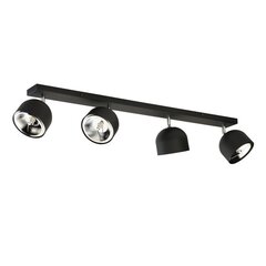 TK Lighting kattovalaisin Altea hinta ja tiedot | Kattovalaisimet | hobbyhall.fi