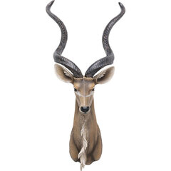 Seinäkoriste Antelope 41x100cm hinta ja tiedot | Sisustustuotteet | hobbyhall.fi