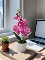 Tekokukka orkidea ruukussa, Electronics LV-8 hinta ja tiedot | Keinotekoiset kukat | hobbyhall.fi