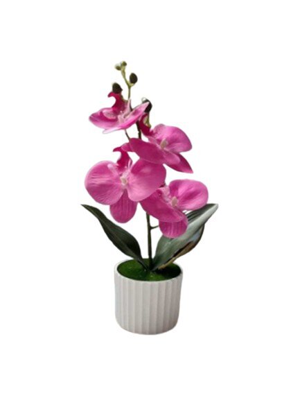 Tekokukka orkidea ruukussa, Electronics LV-8 hinta ja tiedot | Keinotekoiset kukat | hobbyhall.fi