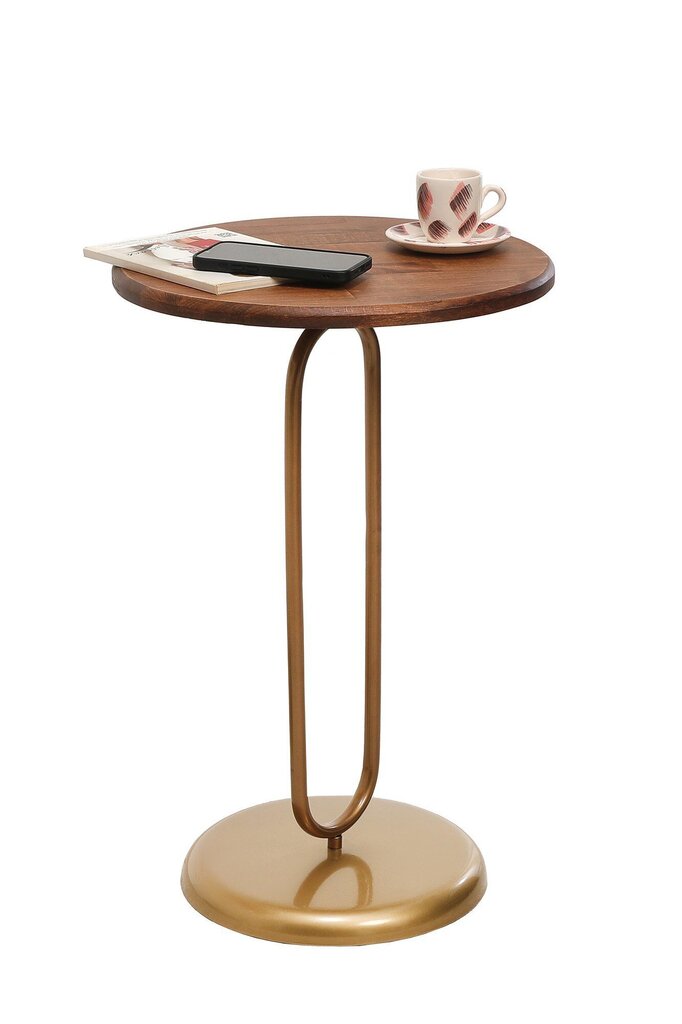 Sivupöytä Kalune Design 1031-2, ruskea/kulta hinta ja tiedot | Sohvapöydät | hobbyhall.fi