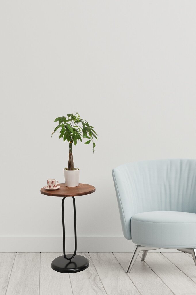 Sivupöytä Kalune Design 1031-2, ruskea/kulta hinta ja tiedot | Sohvapöydät | hobbyhall.fi