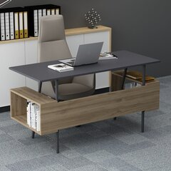 Työpöytä Asir Irony Maxi, ruskea/harmaa hinta ja tiedot | Tietokonepöydät ja työpöydät | hobbyhall.fi