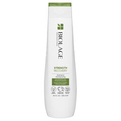 Šampūnas Matrix Biolage Strength Recovery, 250 ml hinta ja tiedot | Shampoot | hobbyhall.fi