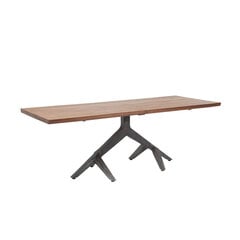 Pöytä, Roots, Dark 220x100cm hinta ja tiedot | Ruokapöydät | hobbyhall.fi