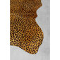 Matto, Leopard, 207x285cm hinta ja tiedot | Isot matot | hobbyhall.fi
