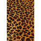 Matto, Leopard, 207x285cm hinta ja tiedot | Isot matot | hobbyhall.fi