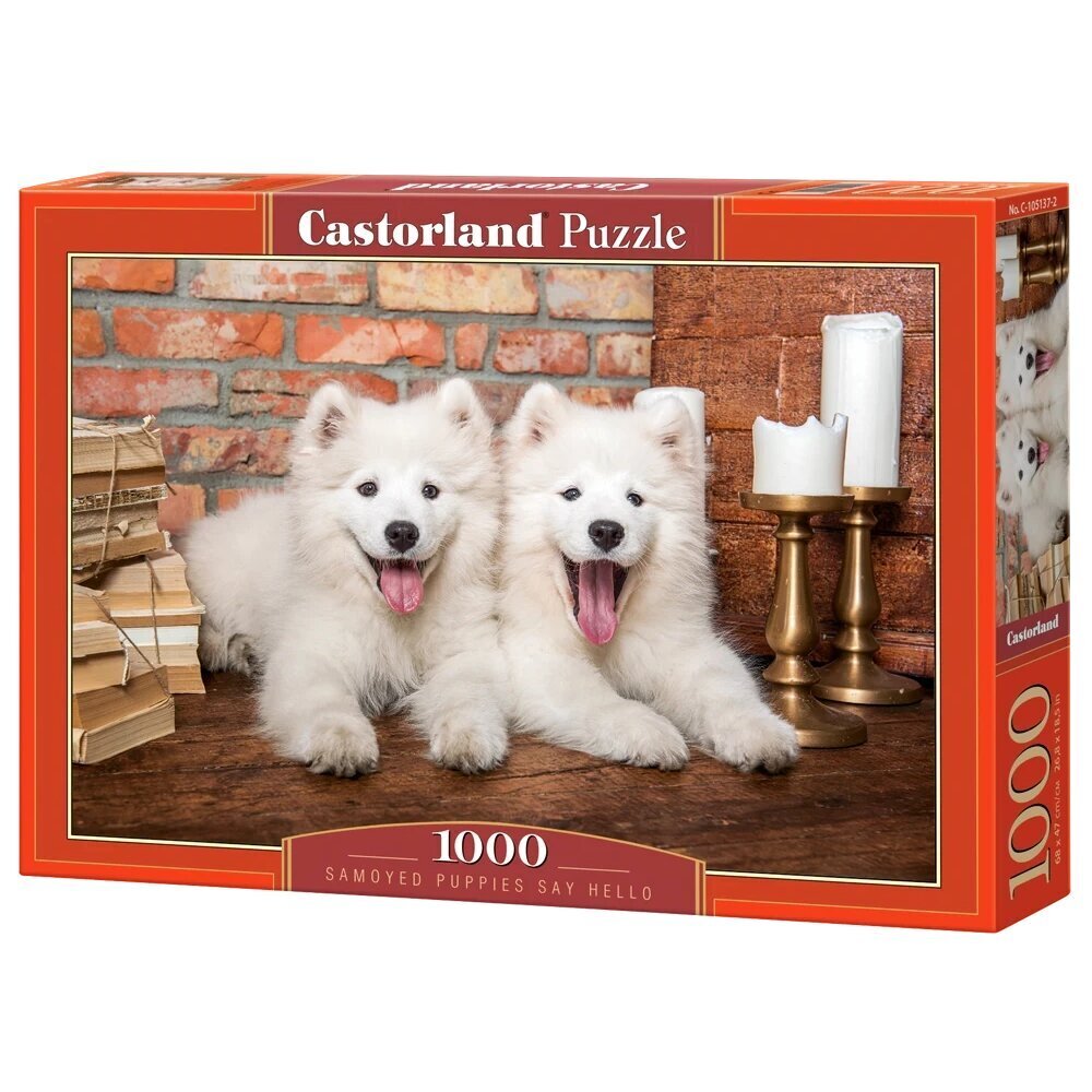 Palapeli Castorland Samoyed Puppies Say Hello, 1000 osaa hinta ja tiedot | Palapelit | hobbyhall.fi