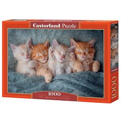 Palapeli Castorland The Sweetest Kittens, 1000 palaa hinta ja tiedot | Palapelit | hobbyhall.fi