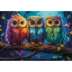 Palapeli Castorland Three Little Owls, 1000 palaa hinta ja tiedot | Palapelit | hobbyhall.fi