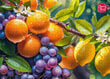 Palapeli CherryPazzi Sunny Fruits, 1000 palaa hinta ja tiedot | Palapelit | hobbyhall.fi