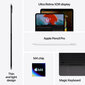 iPad Pro 11" M4 Wi-Fi 256GB with Standard glass - Silver - MVV93HC/A hinta ja tiedot | Tabletit | hobbyhall.fi