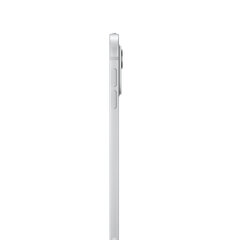 iPad Pro 11" M4 Wi-Fi 256GB with Standard glass - Silver - MVV93HC/A hinta ja tiedot | Tabletit | hobbyhall.fi