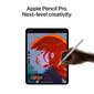 iPad Pro 11" M4 Wi-Fi 256GB with Standard glass - Silver - MVV93HC/A hinta ja tiedot | Tabletit | hobbyhall.fi