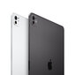 iPad Pro 11" M4 Wi-Fi 2TB with Nano-texture Glass - Space Black - MWR83HC/A hinta ja tiedot | Tabletit | hobbyhall.fi