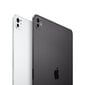 iPad Pro 13" M4 Wi-Fi 256GB with Standard glass - Space Black - MVX23HC/A hinta ja tiedot | Tabletit | hobbyhall.fi