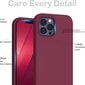 Riff silikoninen suojakuori Apple iPhone 11 (6,1") Burgundy hinta ja tiedot | Puhelimen kuoret ja kotelot | hobbyhall.fi