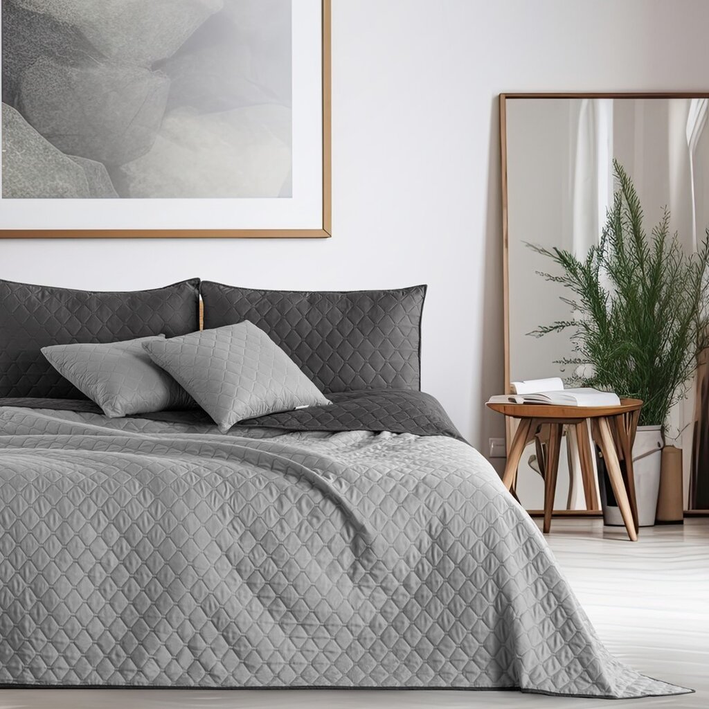 Kaksipuolinen sängynpäällinen DecoKing Axel, 220x240 cm hinta ja tiedot | Päiväpeitot ja huovat | hobbyhall.fi