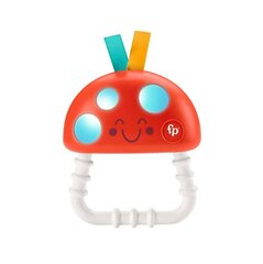 Fisher Price purulelu valoilla HBP46 hinta ja tiedot | Purulelut | hobbyhall.fi