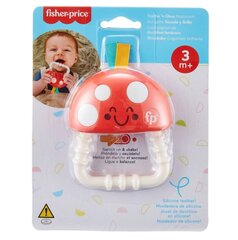 Fisher Price purulelu valoilla HBP46 hinta ja tiedot | Purulelut | hobbyhall.fi