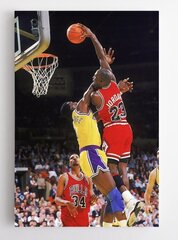 Michael Jordanin koripalloheitto hinta ja tiedot | Taulut | hobbyhall.fi