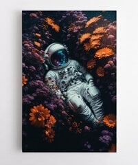 Astronautti hinta ja tiedot | Taulut | hobbyhall.fi
