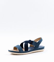 Sandaalit Scandi 251-2146 01, sininen 251-2146*01-041 hinta ja tiedot | Naisten avokkaat ja sandaalit | hobbyhall.fi
