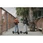 Sähköpotkulauta Segway Kickscooter F2 Plus E Ninebot, musta hinta ja tiedot | Sähköpotkulaudat | hobbyhall.fi