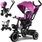 Monikäyttöinen push-kolmipyörä Tiny Bike SP0650 RO hinta ja tiedot | Kolmipyörät | hobbyhall.fi