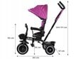 Monikäyttöinen push-kolmipyörä Tiny Bike SP0650 RO hinta ja tiedot | Kolmipyörät | hobbyhall.fi