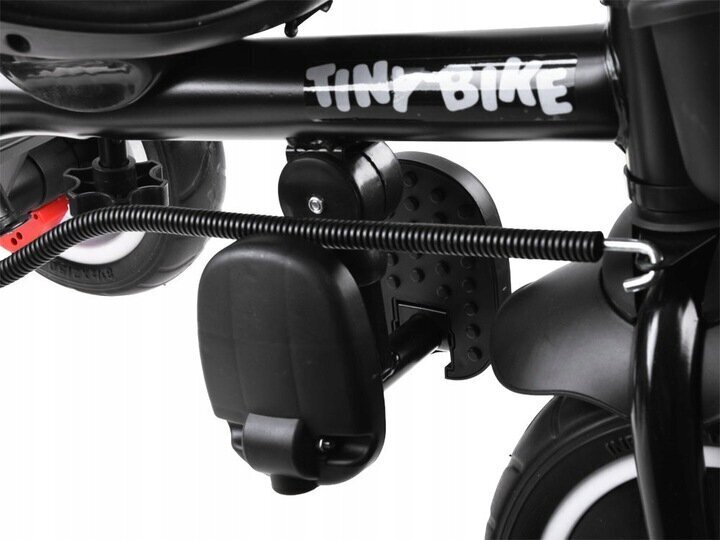Monikäyttöinen push-kolmipyörä Tiny Bike SP0650 RO hinta ja tiedot | Kolmipyörät | hobbyhall.fi