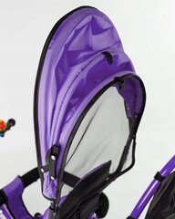 Monitoiminen push-kolmipyörä BE-ACTIVE 3in1, violetti hinta ja tiedot | Kolmipyörät | hobbyhall.fi