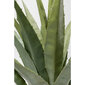 Koristekasvi Agave 85cm hinta ja tiedot | Keinotekoiset kukat | hobbyhall.fi