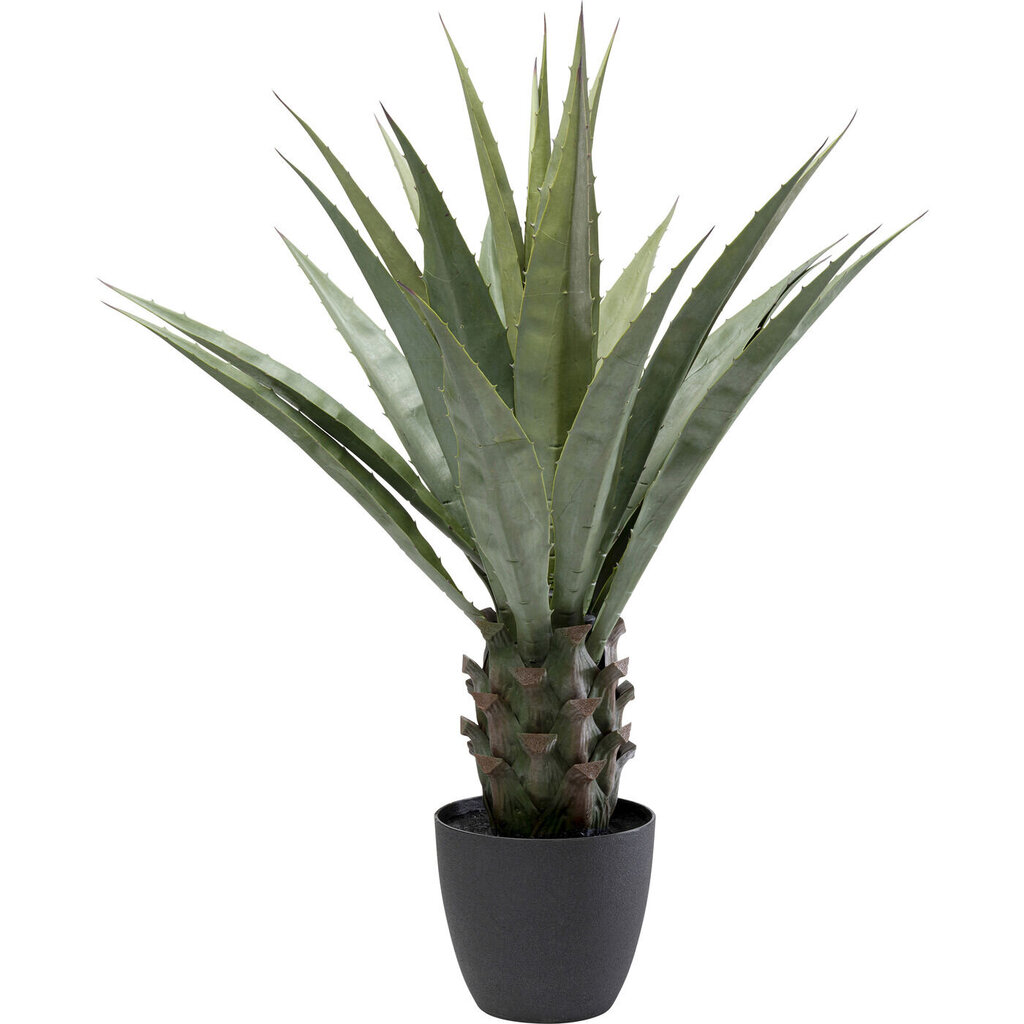 Koristekasvi Agave 85cm hinta ja tiedot | Keinotekoiset kukat | hobbyhall.fi