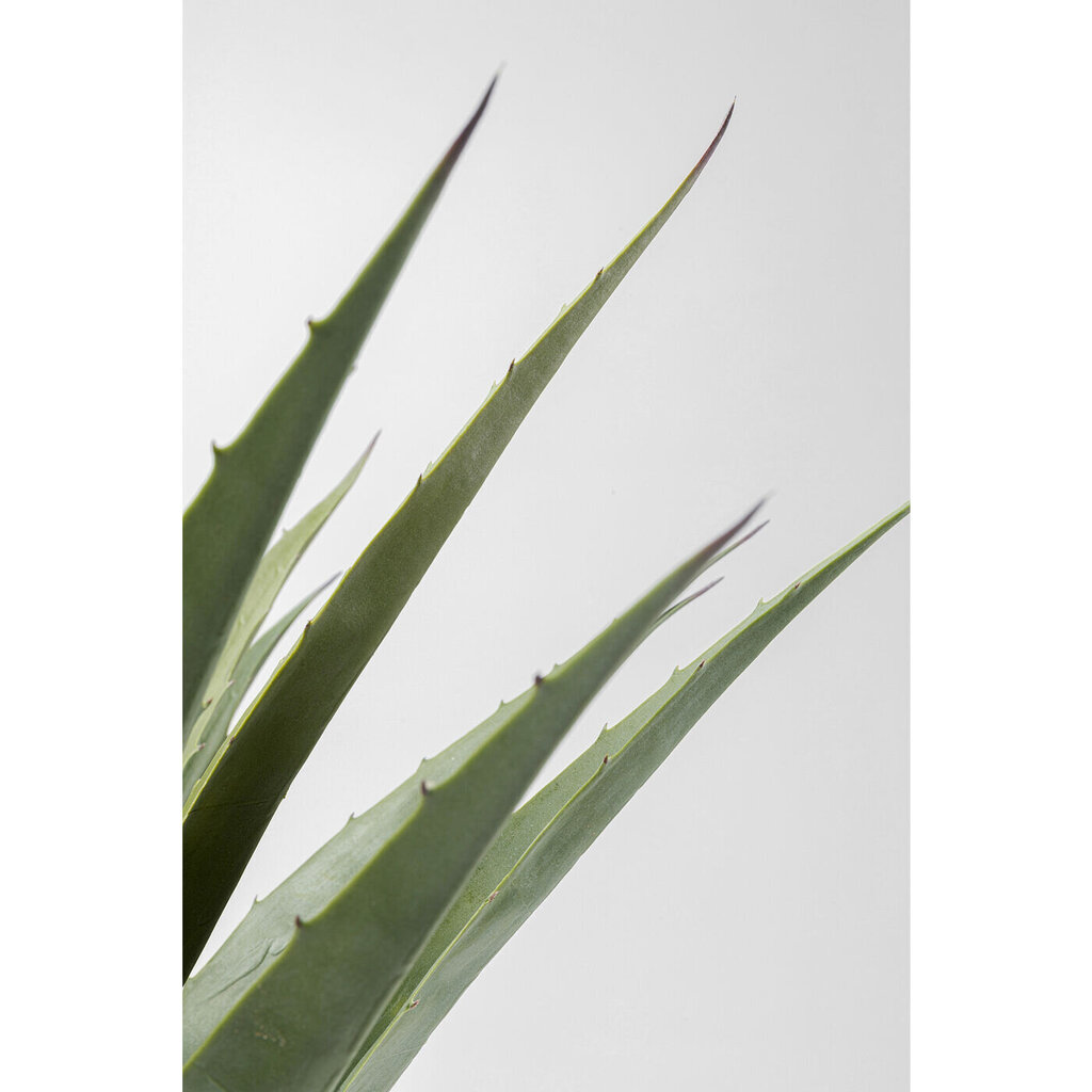 Koristekasvi Agave 85cm hinta ja tiedot | Keinotekoiset kukat | hobbyhall.fi