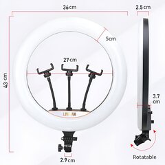 18 tuuman LED-rengasvalo jalustalla, LIVMAN LJJ-36 (led ring) hinta ja tiedot | Valokuvaustarvikkeet | hobbyhall.fi