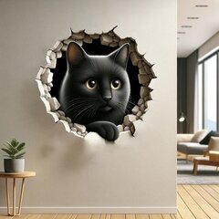 3D kissa seinätarra, halkeama illuusio hinta ja tiedot | Sisustustarrat | hobbyhall.fi