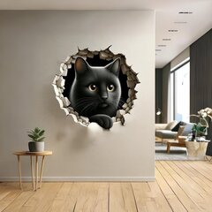 3D kissa seinätarra, halkeama illuusio hinta ja tiedot | Sisustustarrat | hobbyhall.fi