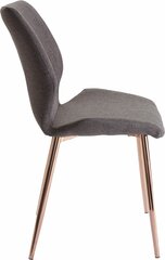 2 tuolia Notio Living Astor, tummanharmaa hinta ja tiedot | Ruokapöydän tuolit | hobbyhall.fi