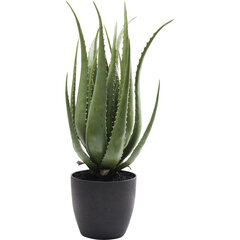 Koriste-esine, Aloe, 69cm hinta ja tiedot | Keinotekoiset kukat | hobbyhall.fi