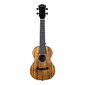 Konserttiukulele Cascha HH 2348 hinta ja tiedot | Kitarat | hobbyhall.fi