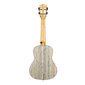 Konserttiukulele Cascha HH 2316 hinta ja tiedot | Kitarat | hobbyhall.fi