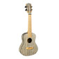 Konserttiukulele Cascha HH 2316 hinta ja tiedot | Kitarat | hobbyhall.fi