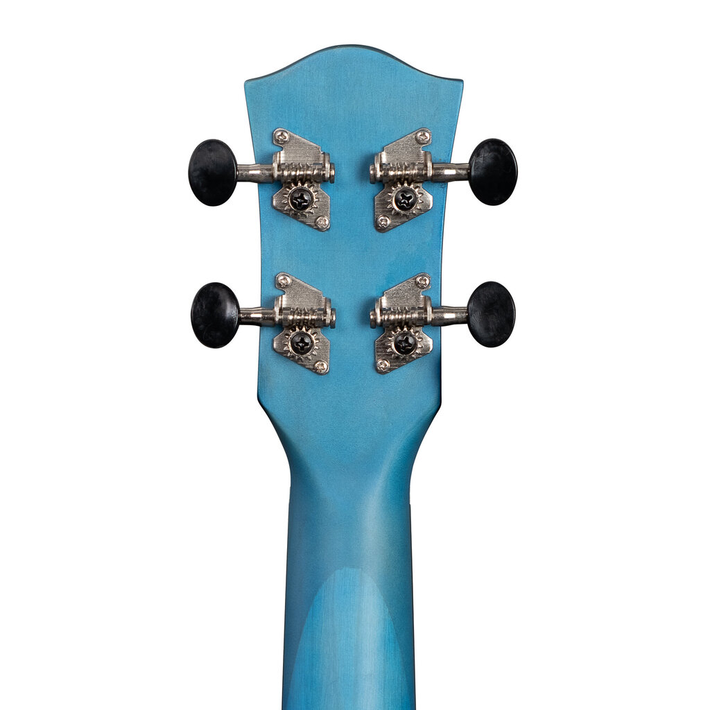 Konserttiukulele Cascha CUC103 hinta ja tiedot | Kitarat | hobbyhall.fi